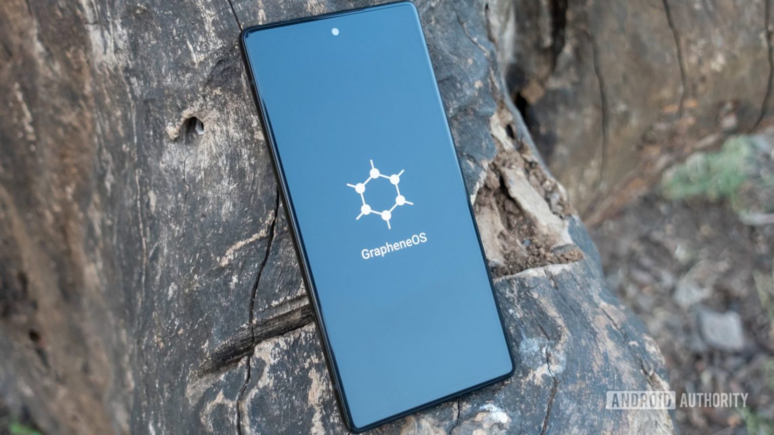 Standard Boot Animation Grapheneos contro revolut: lo scontro si fa sempre più duro