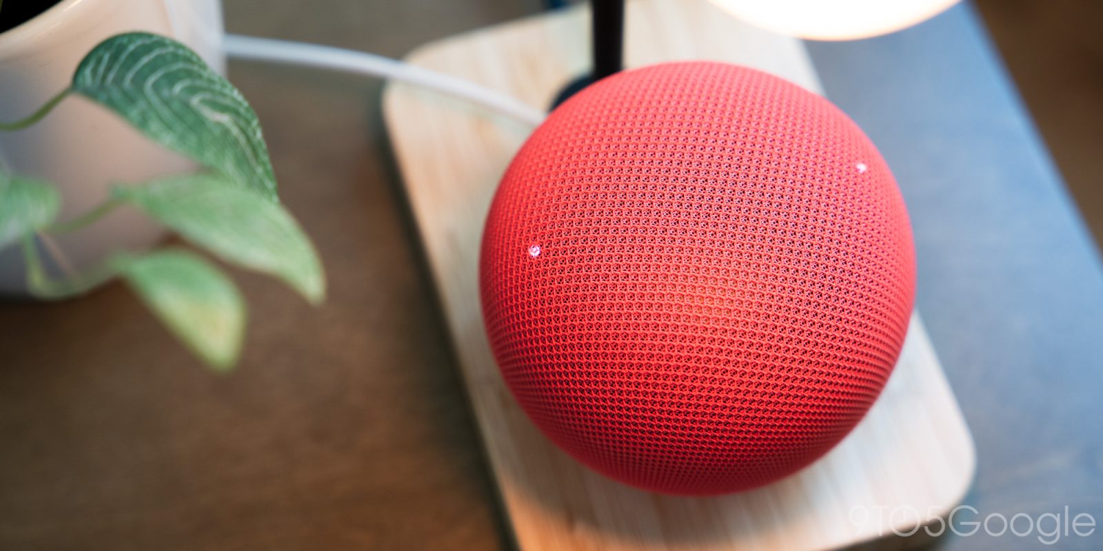 Speaker google home scaricano enormi quantità di dati in background: cosa sta succedendo
