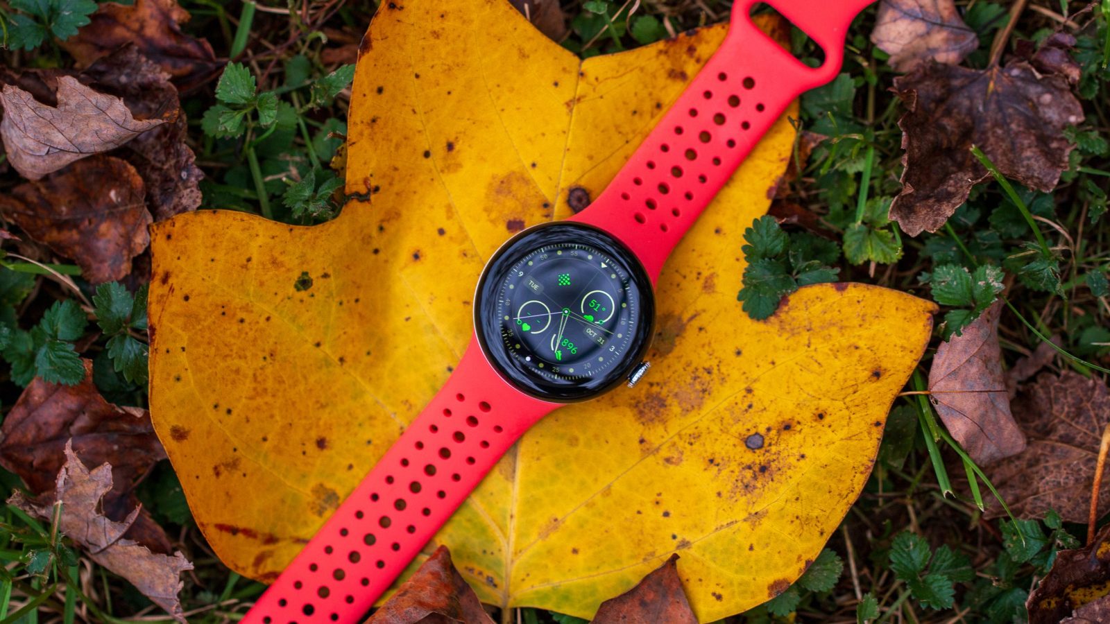 Pixel watch meno recenti perderanno il supporto a safety signal: cosa cambia per gli utenti interessati