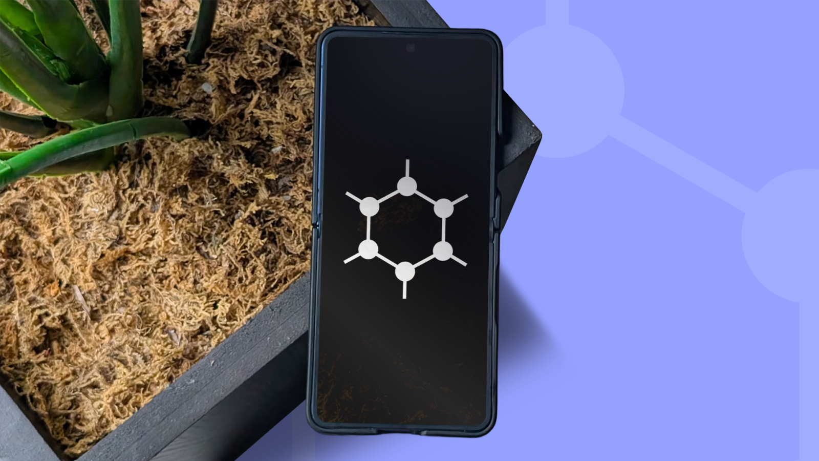 Grapheneos: ho eliminato google dallo smartphone per scoprire se la vera privacy mobile esiste davvero